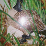 Pinturas thumbnail 2