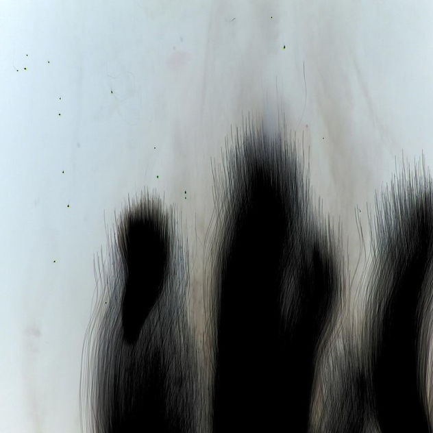 black drawings 5