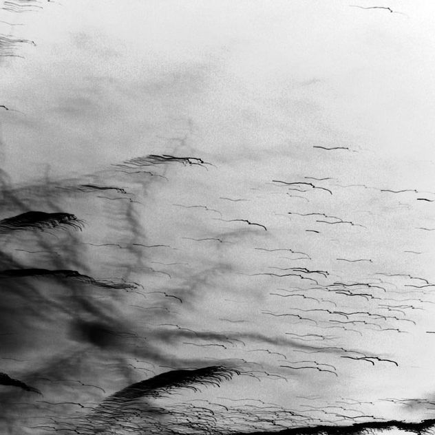 black drawings 9