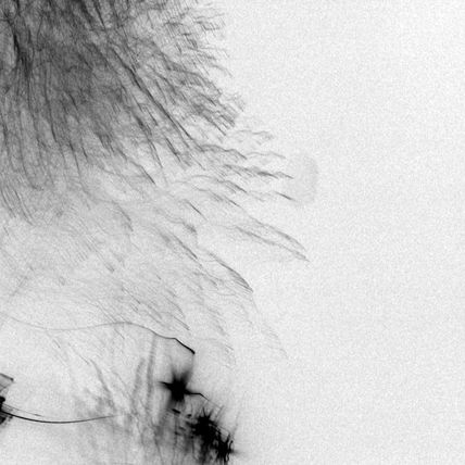 Black drawings 13