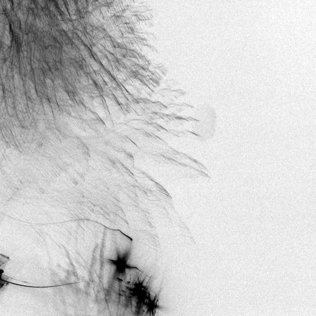 black drawings 13