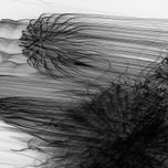Black Drawings thumbnail 2