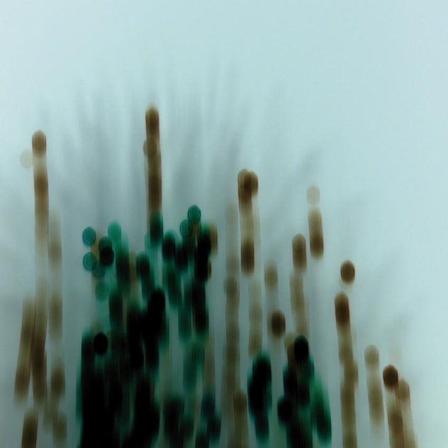 gas 14