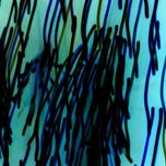 gas thumbnail 1