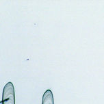 move thumbnail 1