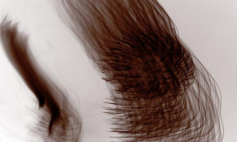brown drawings