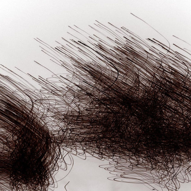 brown drawings 6