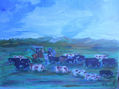 TOROS EN LA DEHESA