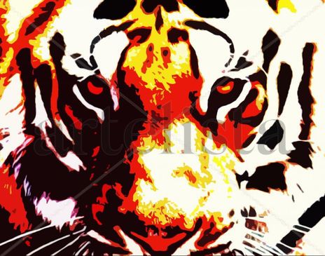Bengal Tiger