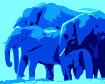 Blue Elephants