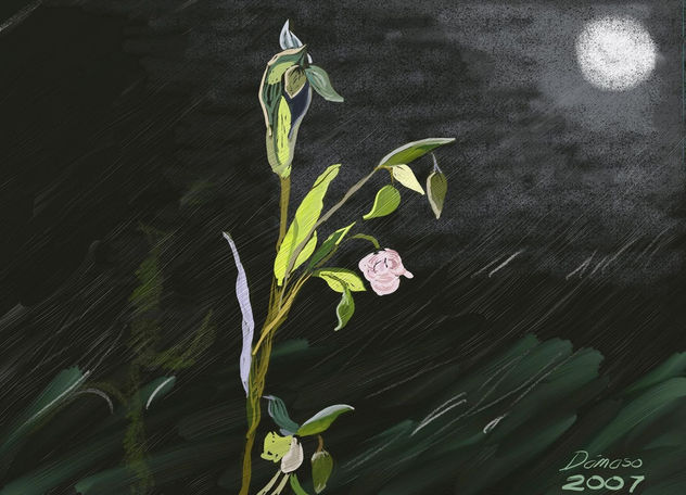 Paisaje nocturno
