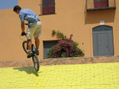 Bikers 4 de 57