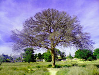 El último árbol