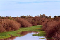 Arroyo del Litoral