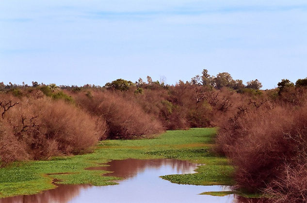 Arroyo del Litoral 