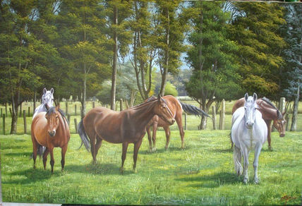 Caballos en la sabana