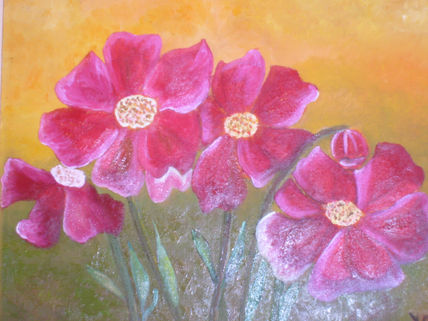Amapolas