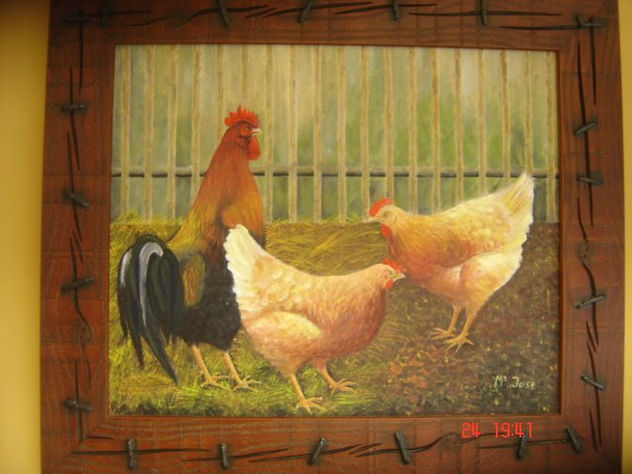 gallinitas