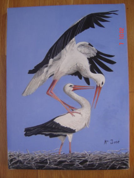 Cigüeñas
