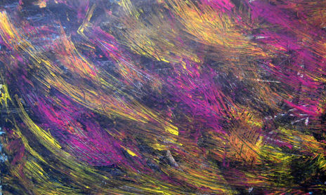 Creación Bicolor