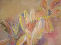florae