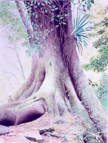 Arbol en Palenque Acuarela Papel Paisaje