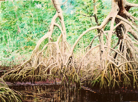 Manglar