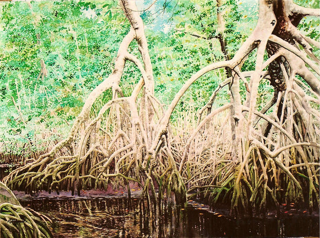 Manglar Acuarela Papel Paisaje