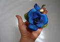 ROSA AZUL