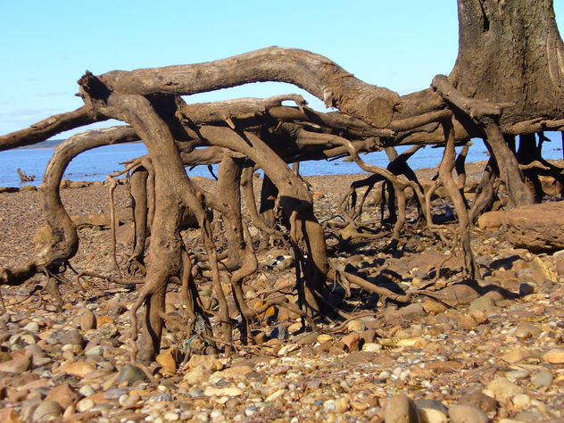 sin agua