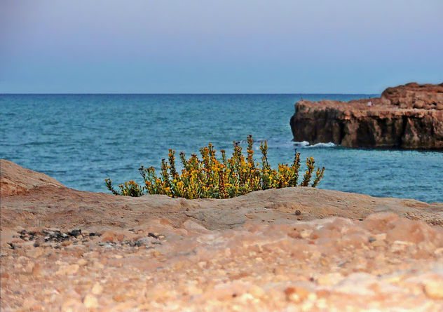 08-08.706.2 - Calas de los locos,Torrevieja (España).