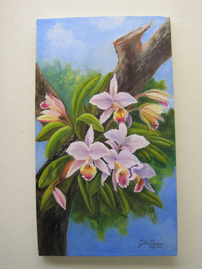 Orquideas Oil Canvas Floral Painting