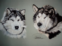 Malamutes