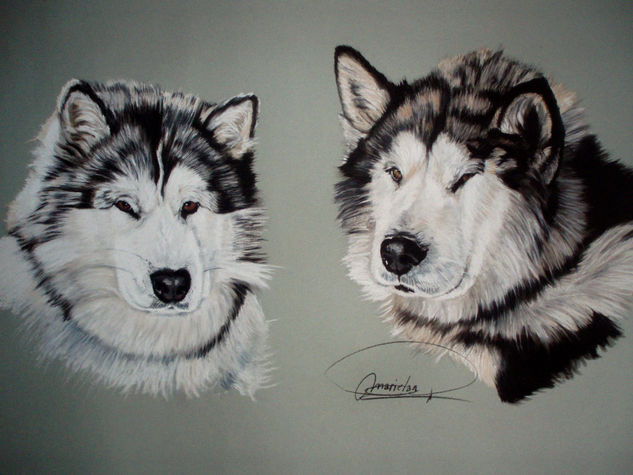 Malamutes 