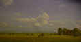 Pradera