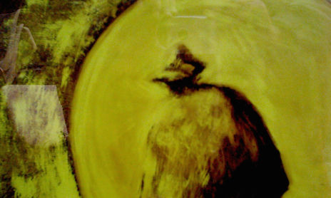 pintura sintetica-serie festucs