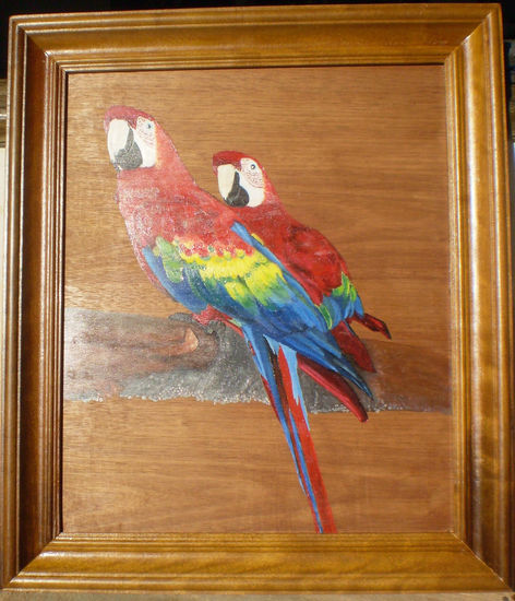 Pareja de Ara Macao Mexicano Acrylic Panel Animals