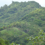naturaleza thumbnail 1