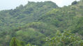 mountains