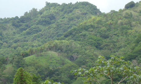 naturaleza