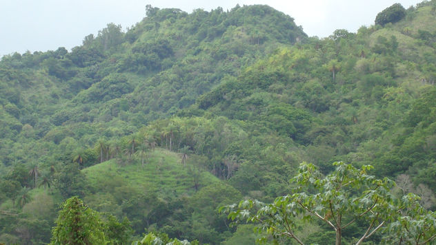mountains