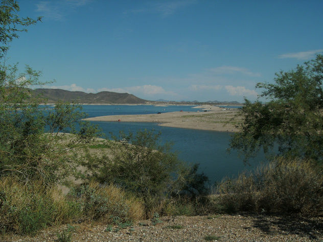 VIDA DESERTICA