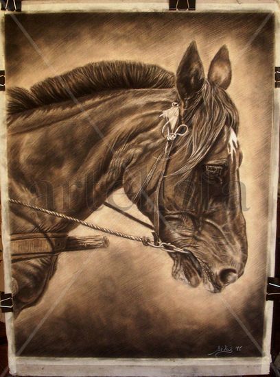 Caballo Mixed Media