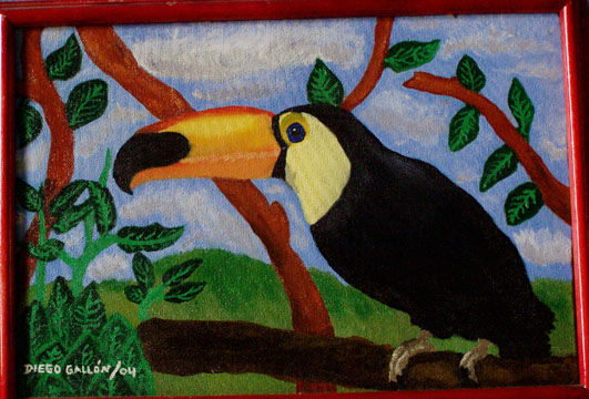 Tucan Toco Oil Canvas