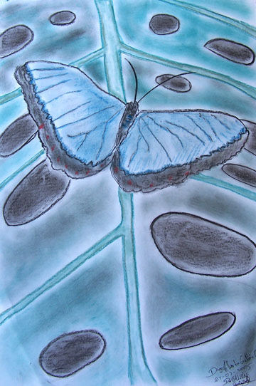 Mariposa solitaria Pastel Paper