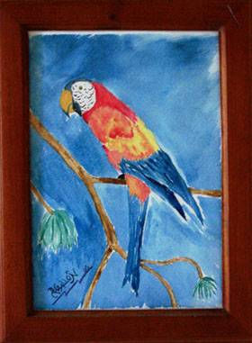 Guacamaya solitaria Watercolour Paper