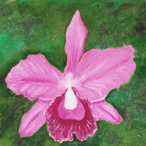 Orquidea Reina Oil Canvas