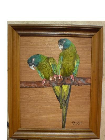 pareja de Ara Couloni Acrylic Panel Animals