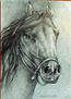 Caballo