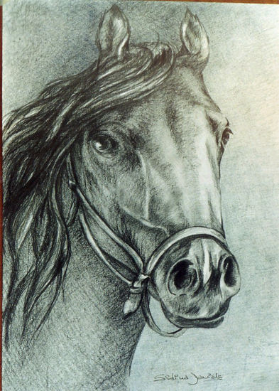 Caballo Pencil